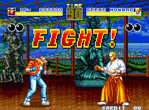 Fatal Fury: Wild Ambition - TFG Review / Art Gallery