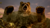 kuma-tekken7-screenshot4.png (3627981 bytes)